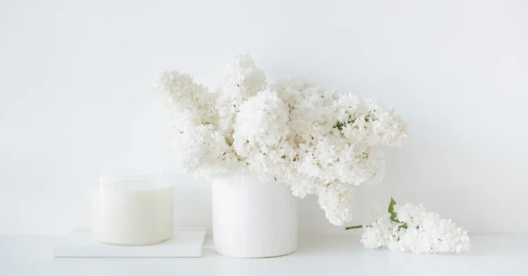 Minimalist Decorations: Essentials for a Sleek and Simple Space 2 Minimalist decorations add a touch of tranquility and sophistication to any room.