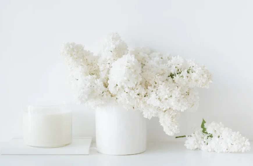 Minimalist decorations add a touch of tranquility and sophistication to any room.