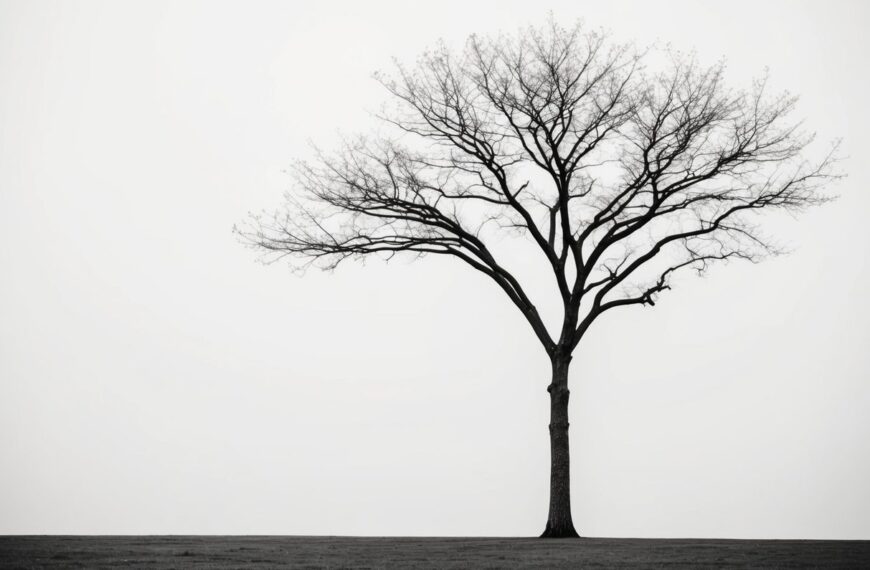 39 A lone tree standing against a stark white background, with its branches reaching out in a minimalist composition